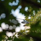 1699035179-bez-nazvu-1000-x-550-px-15-resize-fill-1920-1080